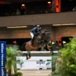 Alper fortalece parceria histórica e marca presença no 36º JHSF Indoor Horse Jumping Brazil  Notícias,Alper Seguros,Alper