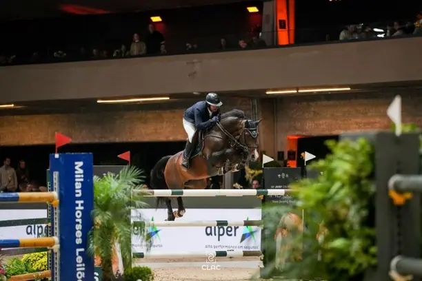 Alper fortalece parceria histórica e marca presença no 36º JHSF Indoor Horse Jumping Brazil  Notícias,Alper Seguros,Alper