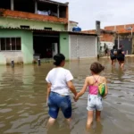 Chuvas intensas: Allianz detalha cobertura para alagamentos no seguro Residencial Notícias,Seguro Residencial,Allianz