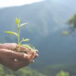 Das COPs à Semana do Clima, CNseg amplia debate sobre financiamento e adaptação climática Notícias,CNSEG