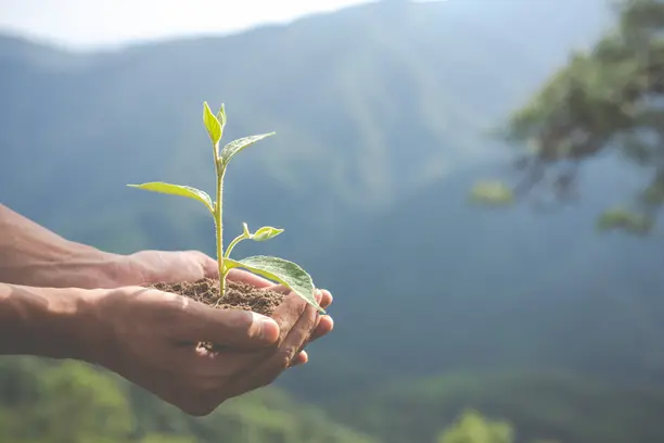 Das COPs à Semana do Clima, CNseg amplia debate sobre financiamento e adaptação climática Notícias,CNSEG