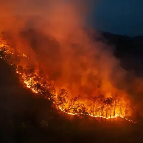 Eventos climáticos extremos expõem lacunas na proteção das empresas, alerta Alper Notícias,Alper Seguros