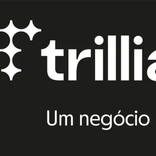 Nova disputa entre seguradoras prioriza análise de dados para tomada de decisões e resultados mais consistentes Notícias,B3,Trillia