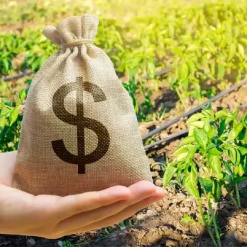 Seguro rural escapa de bloqueio, mas depende do Orçamento Notícias,Seguro Rural