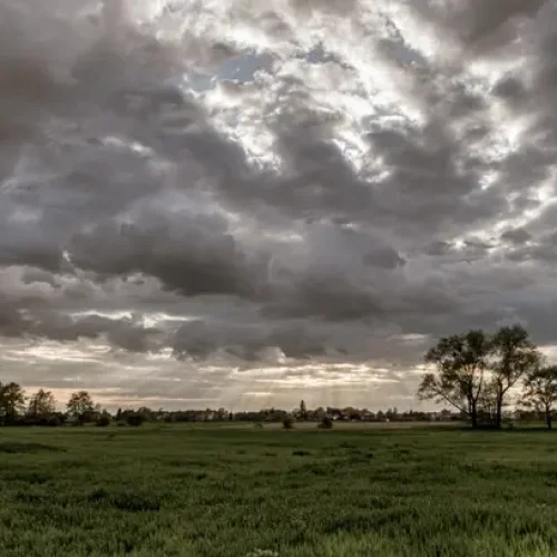 Relatório da Aon alerta para riscos e impactos assimétricos no agronegócio durante o Super El Niño Estudos de mercado,Beatriz Protasio,Brasil,Clima,Corretor de Seguros,El Niño,Mercado de Seguros,mudanças climáticas,São Paulo,seguro,Setor de Seguros,super el nino