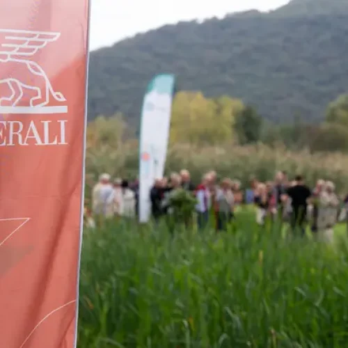 Generali supera 17 mil árvores plantadas Notícias,Seguros,Generali,Grupo Generali,Uma árvore para cada acionista