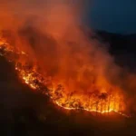Eventos climáticos extremos expõem lacunas na proteção das empresas, alerta Alper Notícias,Alper Seguros