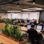 KEV Seguros abre segundo escritório em São Paulo Notícias,Kev Seguros
