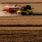 Em meio ao El Niño, recursos federais para bancar o seguro rural secam Notícias,Seguro Rural