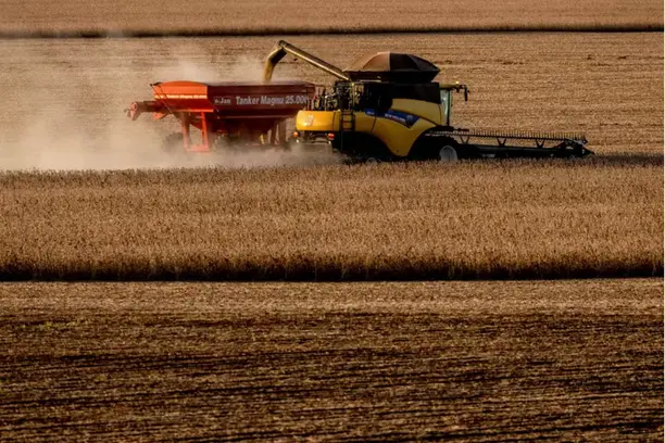Em meio ao El Niño, recursos federais para bancar o seguro rural secam Notícias,Seguro Rural
