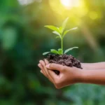 Mercado terá novas regras de sustentabilidade Notícias,SUSEP