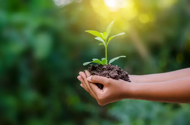 Mercado terá novas regras de sustentabilidade Notícias,SUSEP