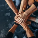 Novo marco das cooperativas de seguros amplia disputa e cria oportunidades no mercado Notícias,Mapfre,AXA,MAG Seguro