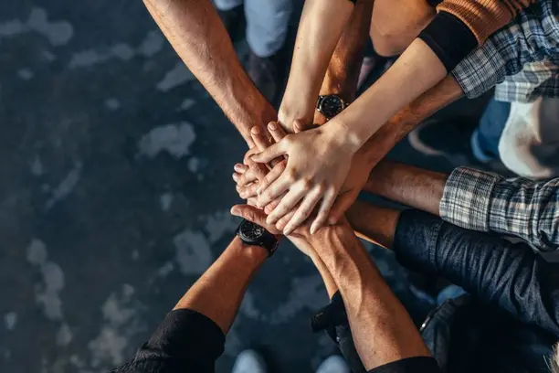 Novo marco das cooperativas de seguros amplia disputa e cria oportunidades no mercado Notícias,Mapfre,AXA,MAG Seguro