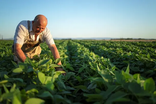 Novo marco do seguro rural pode destravar crédito e acelerar a retomada do agronegócio Notícias,CNSEG,Seguro