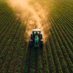 Seguro rural: prazo para sanção das novas regras termina hoje; entenda o que muda Notícias