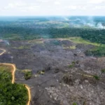 Seguros e mecanismos de risco ganham espaço no financiamento da transição climática Notícias,CNSEG,Marsh