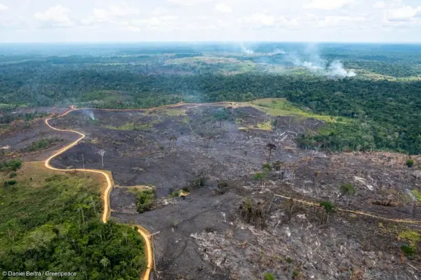 Seguros e mecanismos de risco ganham espaço no financiamento da transição climática Notícias,CNSEG,Marsh