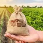 Novo marco legal reforça importância da qualificação em Seguro Rural Cursos,assessorias em seguros,Corretor de Seguros,lucro líquido,Mercado de Seguros,Novo marco legal,planos de saúde,Proteção veicular,seguradoras,seguro,seguro rural,Seguros
