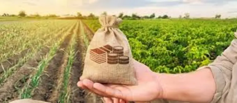 Novo marco legal reforça importância da qualificação em Seguro Rural Cursos,assessorias em seguros,Corretor de Seguros,lucro líquido,Mercado de Seguros,Novo marco legal,planos de saúde,Proteção veicular,seguradoras,seguro,seguro rural,Seguros