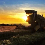 Retorno do El Niño em 2026 exige revisão de coberturas e coloca agronegócio em alerta máximo Notícias,Alper Seguros,El Niño