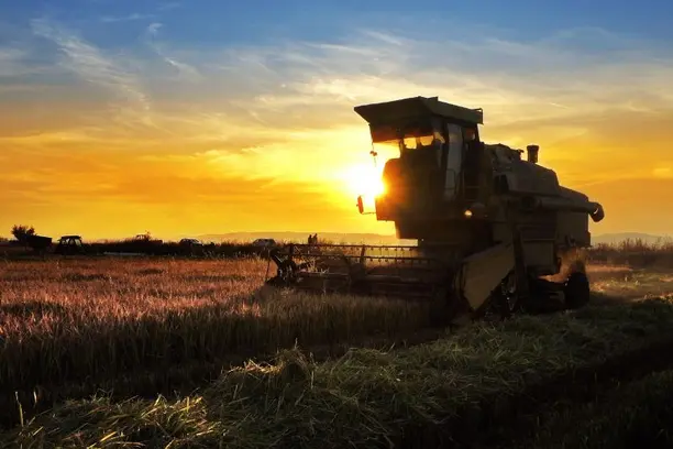 Retorno do El Niño em 2026 exige revisão de coberturas e coloca agronegócio em alerta máximo Notícias,Alper Seguros,El Niño