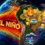 El Niño 2026-27 pode gerar superoferta de grãos na América Latina Seguros Gerais,Allianz Trade,assessorias em seguros,Corretor de Seguros,El Niño 2026-27,lucro líquido,Mercado de Seguros,planos de saúde,Proteção veicular,seguradoras,seguro,Seguros