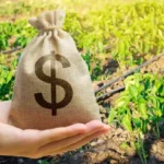 Seguro rural subvencionado encolhe e alcança apenas 3,3% da área cultivada Notícias,Seguro Rural