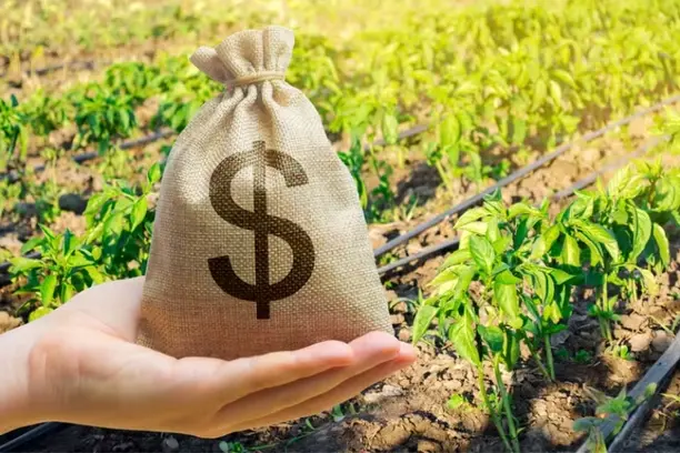 Seguro rural subvencionado encolhe e alcança apenas 3,3% da área cultivada Notícias,Seguro Rural