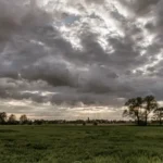 El Niño reacende debate sobre acesso à saúde em situações de emergência Seguros Gerais,Caburé,cabure seguros,Clima,Corretor de Seguros,El Niño,Mercado de Seguros,mudanças climáticas,seguradora,Seguros