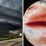 El Niño ganha força em agosto e exige planejamento climático para empresas de diferentes setores Seguros Gerais,assessorias em seguros,Climatempo,Corretor de Seguros,El Niño,lucro líquido,Mercado de Seguros,planos de saúde,Proteção veicular,seguradoras,seguro,Seguros,Vitor Hassan