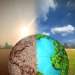 Grupo Bradesco Seguros destaca integração entre ciência e seguros para ampliar resiliência climática dos municípios Seguros Gerais,assessorias em seguros,Corretor de Seguros,Grupo Bradesco Seguros,Ivani Benazzi de Andrade,lucro líquido,Mercado de Seguros,mudanças climáticas,planos de saúde,Proteção veicular,seguradoras,seguro,Seguros